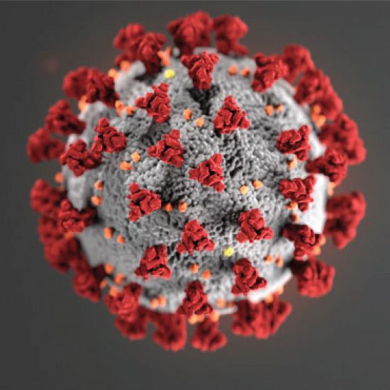 This illustration, created at the Centers for Disease Control and Prevention (CDC), reveals ultrastructural morphology exhibited by the 2019 Novel Coronavirus (2019-nCoV). Note the spikes that adorn the outer surface of the virus, which impart the look of a corona surrounding the virion, when viewed electron microscopically. This virus was identified as the cause of an outbreak of respiratory illness first detected in Wuhan, China.