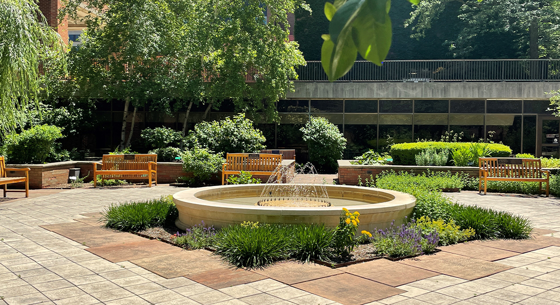 the garden on a sunny day, showing the fountain in the center and a variety of plants and benches around
