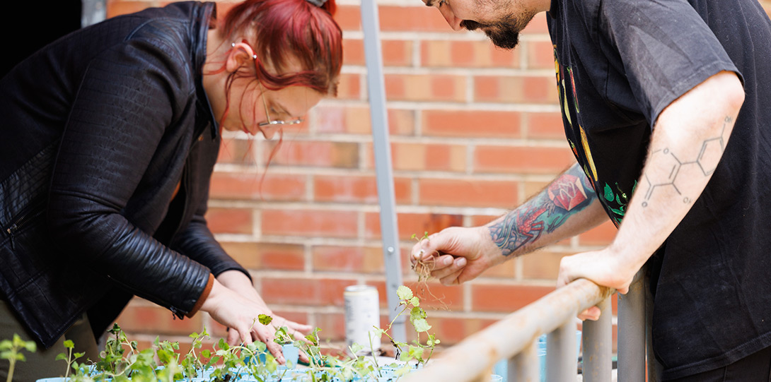 two people standing over and tending to various small plant in green pots